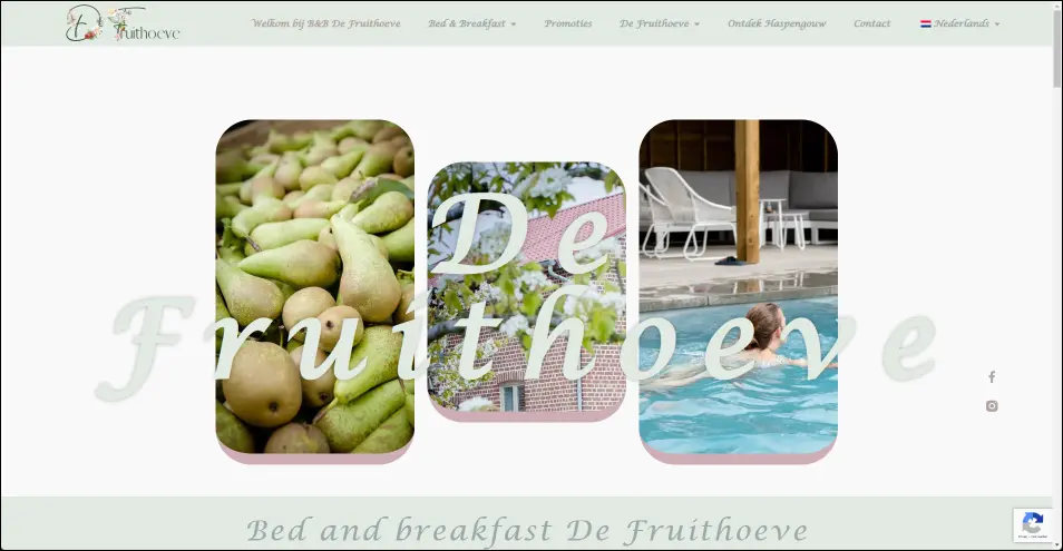 Website De Fruithoeve
